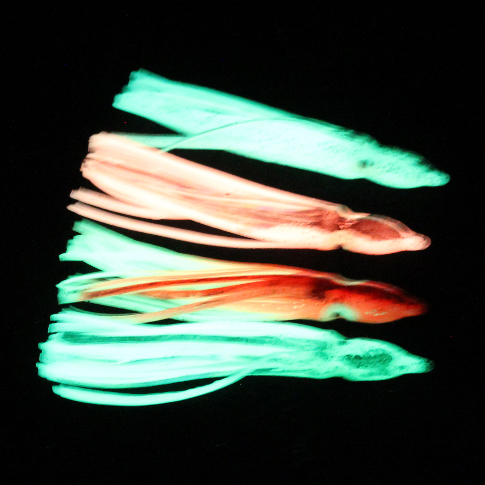 10 pcs soft light octopus squi - Fishing Lure Buzzbait ulasan dan harga